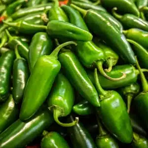 Jalapeno Chili Pepper: The Ultimate Guide to Heat, Flavor & Recipes 4 a pile of vibrant green Jalapeno Chili Pepper